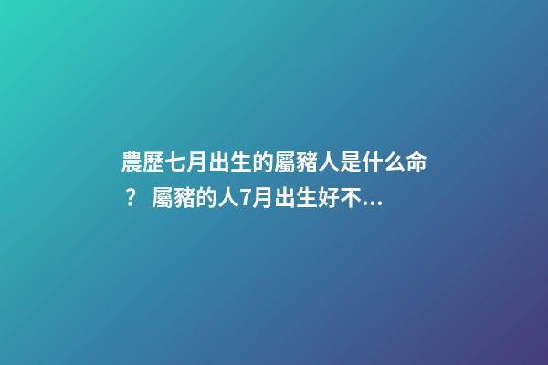 農歷七月出生的屬豬人是什么命？ 屬豬的人7月出生好不好